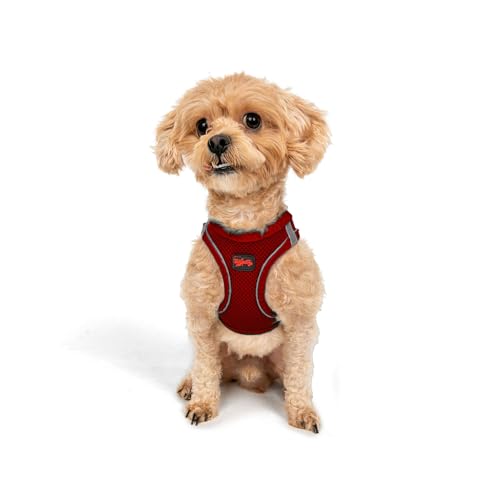 Tailpetz Air Mesh Step In Vest Hundegeschirr für Mittlere und Kleine Hunde, Rot 2XS von Tailpetz