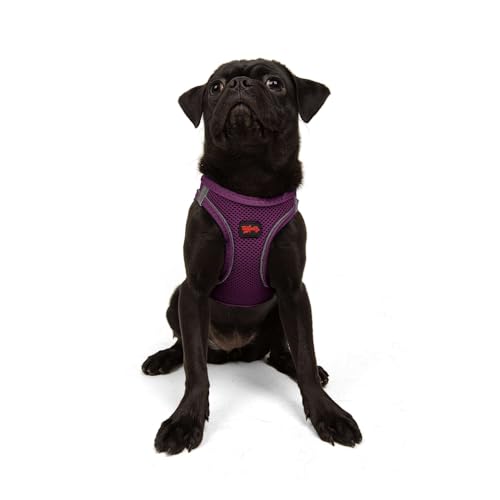 Tailpetz Purple Dog Harness Medium Sized Dog, Adjustable No Pull Step in Harness Medium Size Dog, Reflective Puppy Harness for Puppy Training, Medium Dog Harness Girl (Lila, M) von Tailpetz