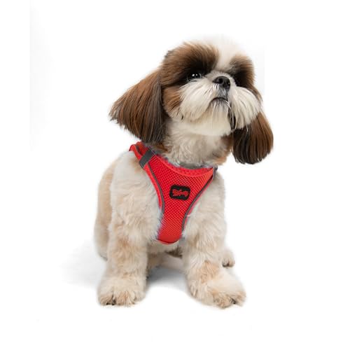 Tailpetz Red Dog Harness Small Sized Dogs, Adjustable No Pull Step in Harness for Small Dog, Reflective Puppy Harness for Puppy Training, Small Dog Harness Boy Girl (Bright Red, S) von Tailpetz