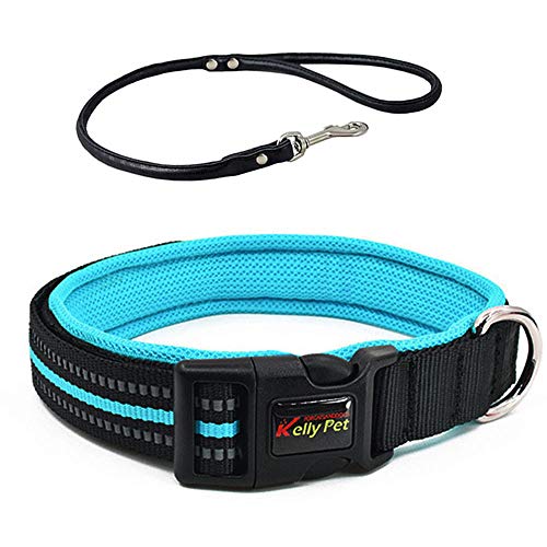 TaimeiMao Hundehalsband, katzenhalsband mit sicherheitsverschluss,Schnellverschluss Katzenhalsband,Reflektierendes Katzenhalsband,verstellbar Nylon Katzenhalsband (M, Blau) von TaimeiMao