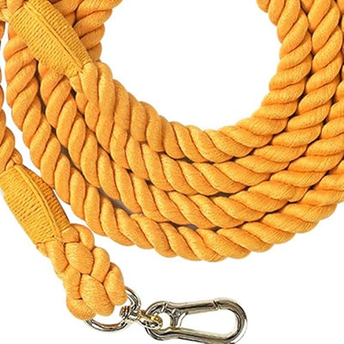 Tanant Handgefertigte Hundeleine, Doppelkopf-Geflecht-Hundetrainingsleine mit Goldenem Zubehör, Langlebige, rutschfeste Hundeleine, Weiche und Flexible Hundetrainingsleine Zum von Tanant