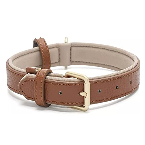 Tanpie Hundehalsband aus Leder für kleine, mittelgroße und große Hunde, weich, wasserdicht, Braun, verstellbar von 20 - 30 cm, Breite 1,5 cm von Tanpie