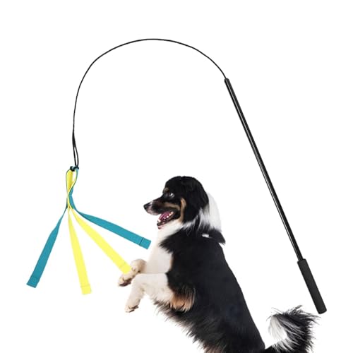 Teaser Zauberstab für Hunde,Köderstab für Hunde | Hunde Flirt Köder Pole Stick Spielzeug - Robuster Köderstab, Hundespielzeug für lustiges Gehorsamstraining, langlebiges elastisches Nylonseil, bequeme von Tanxemery