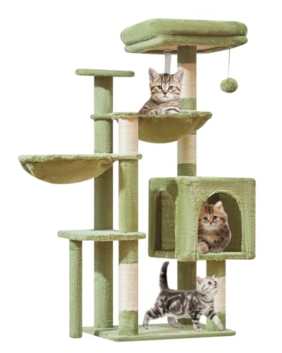 Taoqimiao MS019GR Kratzbaum, Katzenturm für Indoor-Katzen, geeignet für Kätzchen, Plüsch-Katzenhaus mit 5 Kratzstämmen, Plüsch-Sitzstange, 2 Hängematte, Pompons, 100 cm, Grün von Taoqimiao