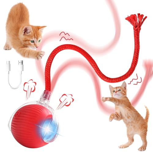 Taozoey Katzenspielzeug Elektrisch, Interaktives Katzenball Spielzeug, Katzenspielzeug Ball mit USB Aufladbar, Interaktiver Spielball mit Schwanz für Katzen von Taozoey