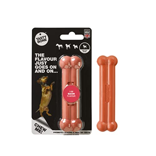 Rosewood 57000 TastyBone extra robustes Hundespielzeug aus Nylon mit Speck-Geschmack, XS von Tasty Bone