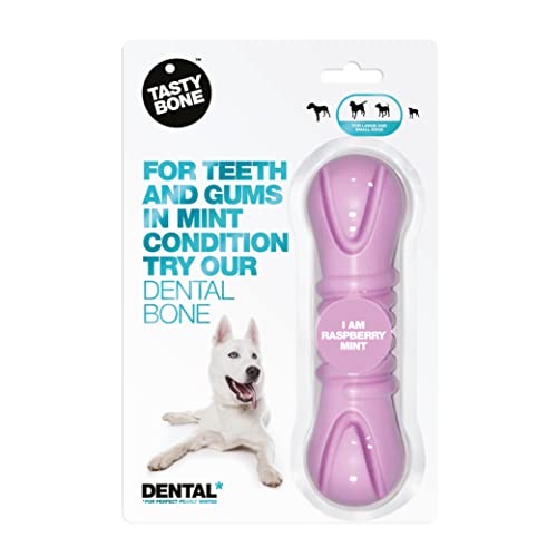 Tasty Bone DentalBone Kauspielzeug für Hunde, Nylon, Himbeerminzgeschmack, hilft dabei, den Atem des Hundes zu verbannen, fördert gesunde Zähne und Zahnfleisch (hergestellt in Großbritannien aus 100% von Tasty Bone