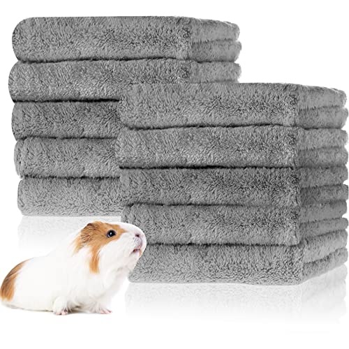 10 Stück Meerschweinchen Decken Fleece Haustier Decken Weiche Meerschweinchen Käfig Einlagen Haustier Schlafmatten Zubehör für Kleintier Hamster Welpe Katze (Grau, 30 x 30 cm) von Tatuo