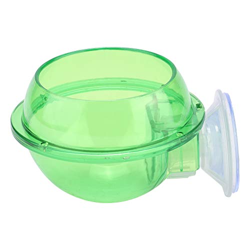Echsenfuttermittel Feeder Echsenschale Schüssel Reptieder Reptilien Schüssel, Plastiule Transparente Reptilien Saugbecher Feedere für Echsengard G G Echsenfuttermittel Feeder Echsenschale Schüssel Reptieder Reptilien Schüssel, Plastiule Transparente Reptilien Saugbecher Feedere für Echsengard G G von Tbest