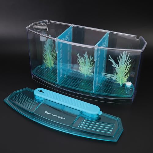 Kleiner Betta-Tank mit Vorgefertigten Separatoren, Heimtierbedarf, Aquarium, Geführt, DREI Abteilungen, Zucht-Isolationsbox für Kleine Fische, Lila (Blue) von Tbest