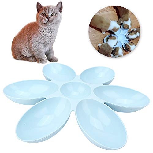 Tbest Pet Products Pp Dule Pet Sechs Blütenblätter, mehrere Behälter, Futterspender, Wasser-Futternapf für Catogs, allgemeine Hunde, tägliche Lagen (blau) von Tbest