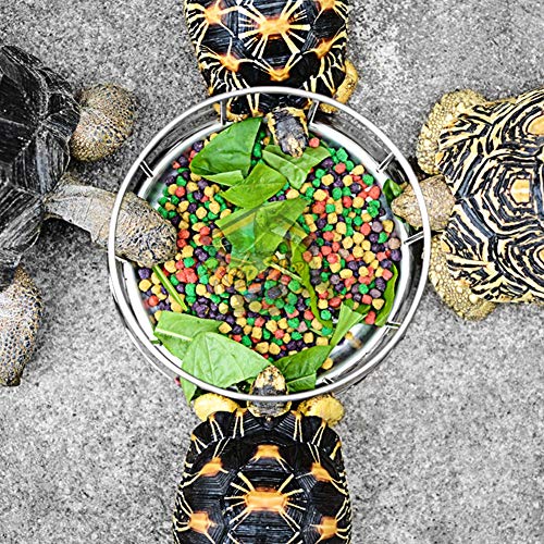 Tbest Schildkröte Feeder Tortoise Bowl Water Feeder Water Bowl Reptile Bowl, Dule Reptile Felsfutter und Wasserschale Futtermittelschale für Schildkrötenwasser (S (95 x 150 x 1,2 mm / 3,74 x 5,91 x Tbest Schildkröte Feeder Tortoise Bowl Water Feeder Water Bowl Reptile Bowl, Dule Reptile Felsfutter und Wasserschale Futtermittelschale für Schildkrötenwasser (S (95 x 150 x 1,2 mm / 3,74 x 5,91 x von Tbest