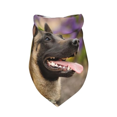 Belgischer Malinois Haustiere Hunde Belgischer Malinois,Latzschal, Dreieckskapuze, Verstellbarer Haustierschal, waschbare Kapuze, geeignet für kleine, mittelgroße und große Hunde und Katzen von Tcoay