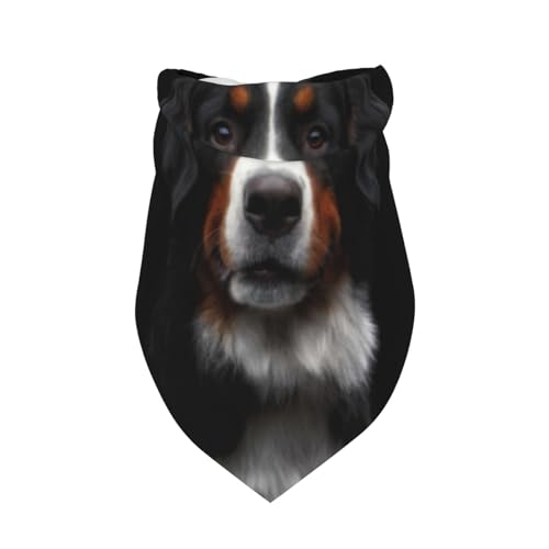 Berner Sennenhund,Latzschal, Dreieckskapuze, Verstellbarer Haustierschal, waschbare Kapuze, geeignet für kleine, mittelgroße und große Hunde und Katzen von Tcoay