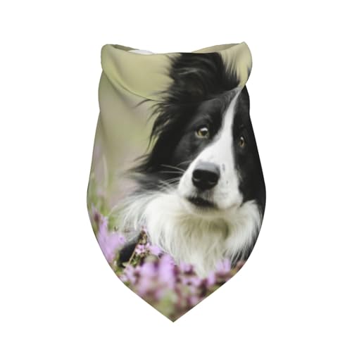 Border Collie Rasen Schwarz Border Collie Haustiere,Latzschal, Dreieckskapuze, Verstellbarer Haustierschal, waschbare Kapuze, geeignet für kleine, mittelgroße und große Hunde und Katzen von Tcoay