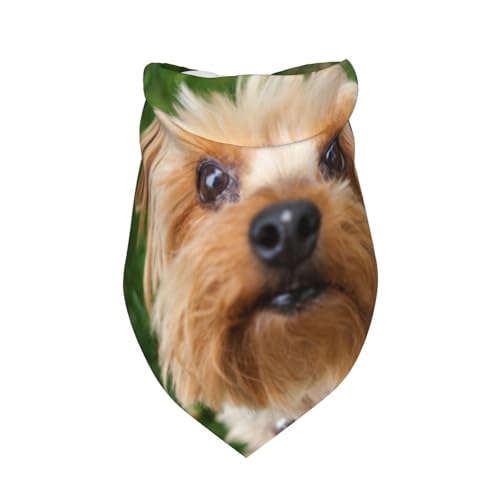 Yorkshire Terrier Süße Hunde Haustiere Hunde,Latzschal, Dreieckskapuze, Verstellbarer Haustierschal, waschbare Kapuze, geeignet für kleine, mittelgroße und große Hunde und Katzen von Tcoay