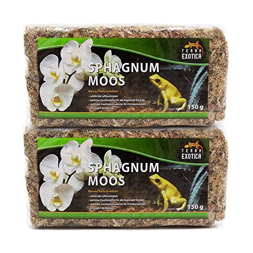 Terra Exotica Sphagnum Moos (300 g) Torfmoos für Garten-, Zimmerpflanzen & Terrarien von Terra Exotica