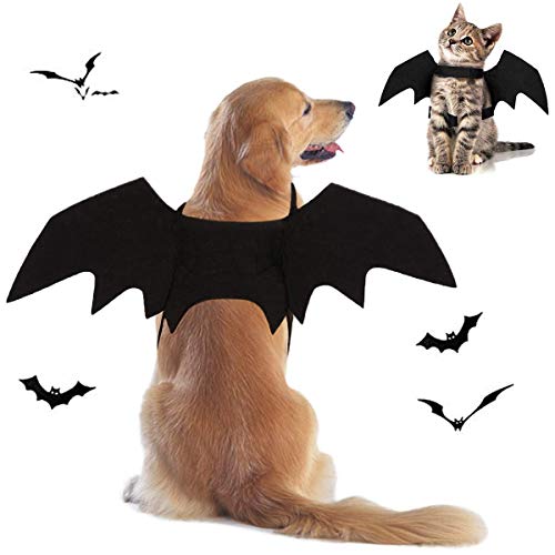 Tealots Halloween-Hundekostüm, Fledermausflügel für Haustiere, verstellbar, lustige Katze, Fledermausflügel, Party-Outfit, Cosplay, Bekleidung für kleine, mittelgroße und große Hunde, Schwarz, Größe von Tealots