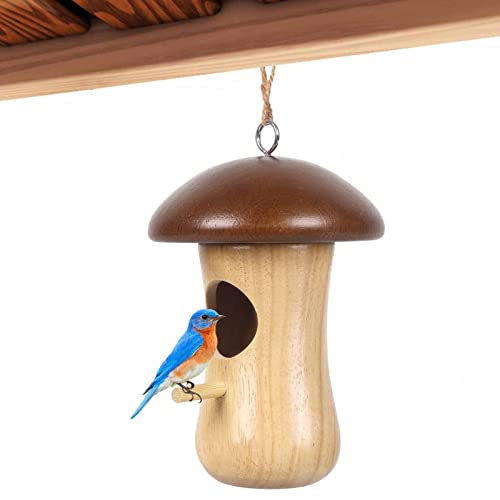 Kolibri-Nest – Nest Outdoor Vogelnest – Holz Pilzform Vogelschaukel Häuser für Outdoor Schwalbe Zaunkönig Spatz Fenster Garten Tebinzi von Tebinzi