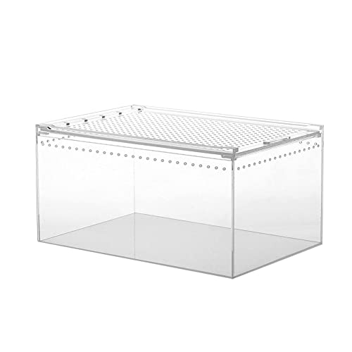 Tarantula Terrarium – Transparente Reptilien-Futterbox, tragbare Schlüpf-Inkubationsbox, Schlangenzuchtbehälter, -Haustierhaus für Spinnen, Skorpione, betende Mantises Tebinzi von Tebinzi