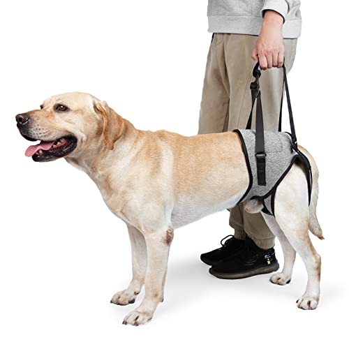 Dog Support Harness Pet Leg Support Rear Lifting Sling Aid with Handle and Shoulder Strap for Older Dogs, Disabled Injured Dogs, Easy to Adjust Grey S von Techigher