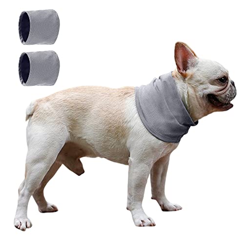 Kühlendes Hundehalsband, Sommer, kühlendes Halsband, Schal für Bergsteigen, Spazierengehen, Spielen, grau, 2 l von Techigher