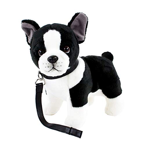 Kuscheltier Französische Bulldogge/Boston Terrier mit Halsband und Leine 25 cm schwarz/weiß gescheckt Plüschhund von Teddys Rothenburg