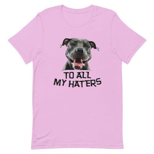 Lustiges grafisches Haustier cooles Hundeliebhaber T-Shirt | Urkomisch für alle meine Hasser, Lila, XL von Teegarb Letter Blanket