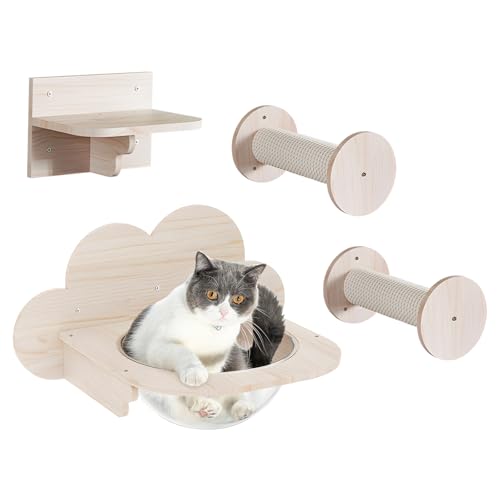 Katzenwandmöbel Set, Transparente Raumkapsel Katzenbett Fenster mit 2 Kletterstufe und 1 Katzen Plattform, Katzentreppe Wand Katzenregale und Sitzstangen für Indoor Katzen zum Spielen, Schlafen von Teeloray