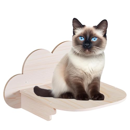 Teeloray Kletterwand Katze in Wolkenform, 57 x 29cm Kletterwand Katze und Sitzstangen für Wand mit Kratzbrett, Große Katzenwandmöbel, Katzentreppe Wand Katzenregal zum Spielen, Schlafen, Klettern von Teeloray