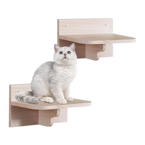 Kletterwand Katzen, Katzenwandmöbel Set Aus Holz, Katzen-Wandmöbel Katzenbrett Sitzstangen für Wand Kletterregal Spielplatz Innen Wandmontage (2 Plattform Katzen Wandmöbel) von Teeloray