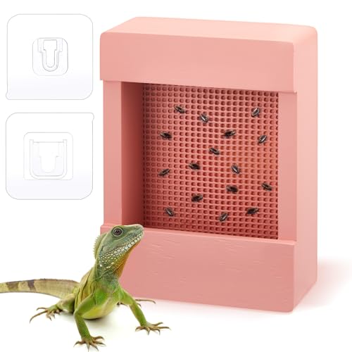 Teenyyou Chamäleon Feeder Bartdrache Käfer Schüssel Holz Bartagrachen Feeder Insekten Reptilien Feeder Box mit Gitterplatte zum Füttern von Chamäleon Gecko Eidechse Frosch Aquarium Zubehör (Rosa) von Teenyyou