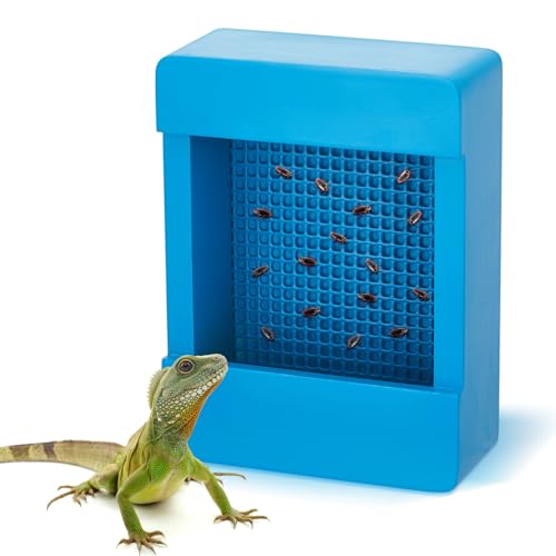 Teenyyou Chamäleon Feeder Bartdrache Käfer Schüssel Holz Bartdrachen Feeder Insekten Reptilien Feeder Box mit Gitterplatte zum Füttern Chamäleon Gecko Eidechse Frosch Aquarium Zubehör, Blau von Teenyyou