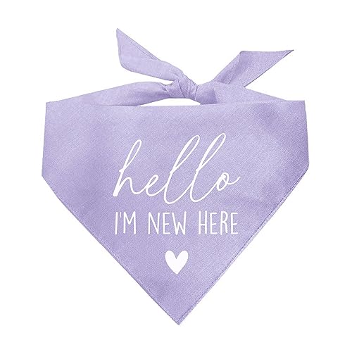 Hello I'm New Here Hundehalstuch, Lavendel, OS 1109 von Tees & Tails