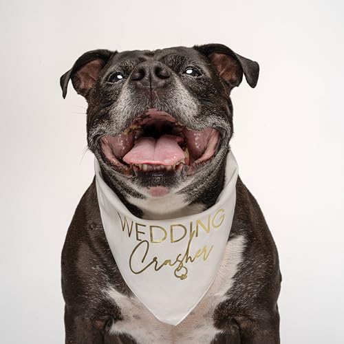 Hundehalstuch für Hochzeit, Verlobung, metallisch bedruckt, Weiß, OS Goldfolie 1 von Tees & Tails