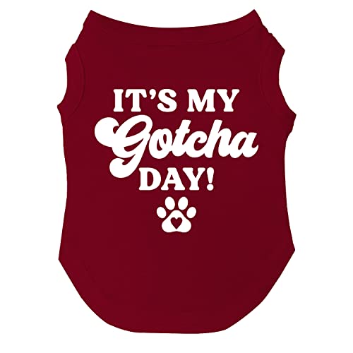 It's My Gotcha Day Hunde-T-Shirt, Größen für Welpen, Spielzeug und große Rassen (verschiedene Farben) von Tees & Tails