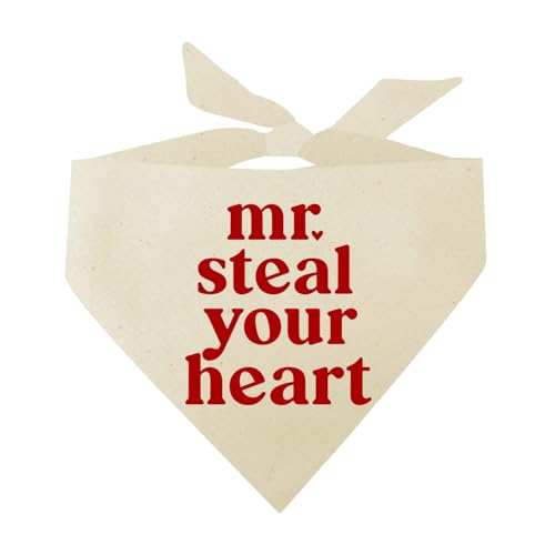 Mr. Steal Your Heart Valentinstag Hundehalstuch (Natur, OS 1198) von Tees & Tails