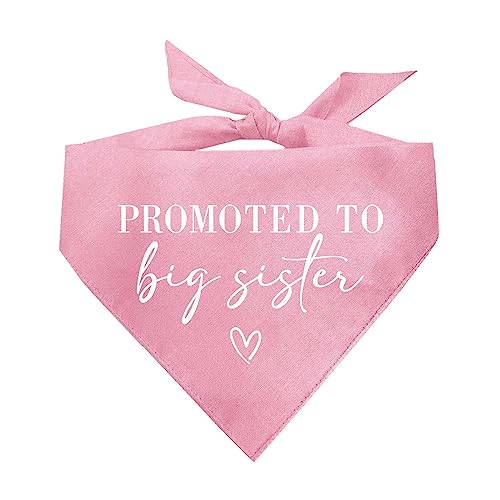 Promoted to Big Brother Or Promoted to Big Sister Gender Reveal Baby Ankündigung Hundehalstuch (Babyrosa oder Babyblau) von Tees & Tails