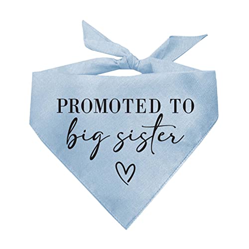 Promoted to Big Sister Baby Ankündigung Hundehalstuch, Babyblau, OS 692 von Tees & Tails