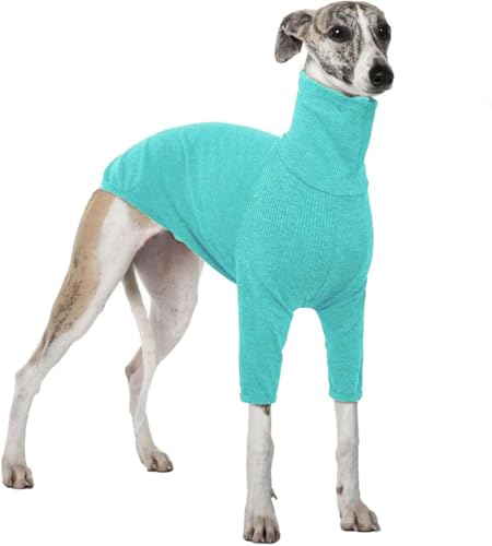 Teesho Hunde Shirt Hundepullover Grosse Hunde Winterpullover Hundepullover (Lakeblau/L) von Teesho