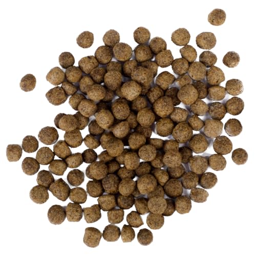 All Season Koifutter 6mm - schwimmendes Ganzjahres Futter für Koi und Teichfische für ausgewogene Fisch-Ernährung mit Fischöl, Astaxanthin (13,5 kg) von Teichpoint