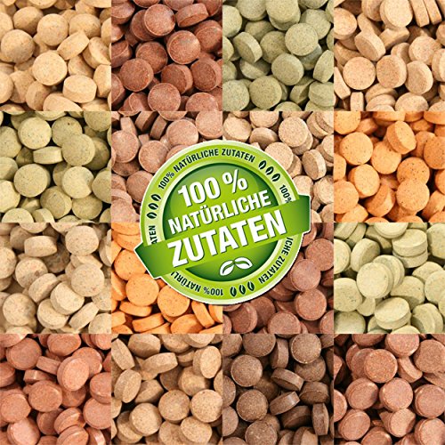 1000 ml (700g) Premium TOP Futtertabletten Opti-Mix 17, Tablettenfutter Mix für Aquarium Zierfische Tabletten von Teichpoint