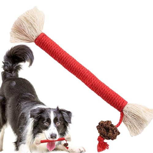 Teksome Cat Toys Silvervine Kaustab – Natürliche Silvervine Sticks für Kätzchen Zahnreinigung | Silvervine Katzenspielzeug zum Stressabbau, Katzen-Glätterspielzeug von Teksome