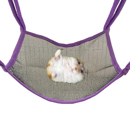 Teksome Chinchilla Hängematte - Chinchilla Hängematte für Käfig,Nagefeste Schaukel Spielzeug Schlafplatz Bewegung Beschäftigung Täglicher Einsatz Teksome Chinchilla Hängematte - Chinchilla Hängematte für Käfig,Nagefeste Schaukel Spielzeug Schlafplatz Bewegung Beschäftigung Täglicher Einsatz von Teksome