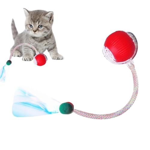 Teksome Interaktiver Katzenball, wiederaufladbarer, intelligenter interaktiver Ball für Katzen – 600 mAh Akku, Kätzchen, automatisch bewegliches Haustier-Übungsspielzeug für Indoor-Kätzchen von Teksome