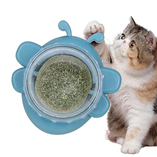 Teksome Katzenminze Wandspielzeug, Bienenform Katzenminze Roller Ball Wandspielzeug, Gesunde Bio Katzenminze, Drehbare Wandhalterung, Essbares Kätzchen Kauspielzeug für Katze Lecken, Zahnreinigung und von Teksome