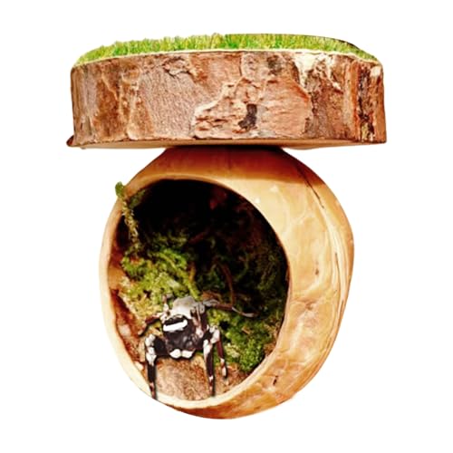 Teksome Springspinnen Versteck | Zubehör Für Spinnenterrarium Handgefertigt - Handgefertigter Magnetischer Unterschlupf Käfig Für Vogelspinnen Gottesanbeterin Kleintiere Teksome Springspinnen Versteck | Zubehör Für Spinnenterrarium Handgefertigt - Handgefertigter Magnetischer Unterschlupf Käfig Für Vogelspinnen Gottesanbeterin Kleintiere von Teksome