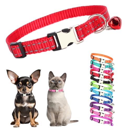 Rotes Katzenhalsband mit Glöckchen, reflektierendes Hundehalsband mit Glöckchen, Metallschnalle, für Mädchen, weiblich, Nylon, Welpenhalsband mit Glöckchen, für XXS, XS, kleine Kätzchen, Junge, von Teleyi