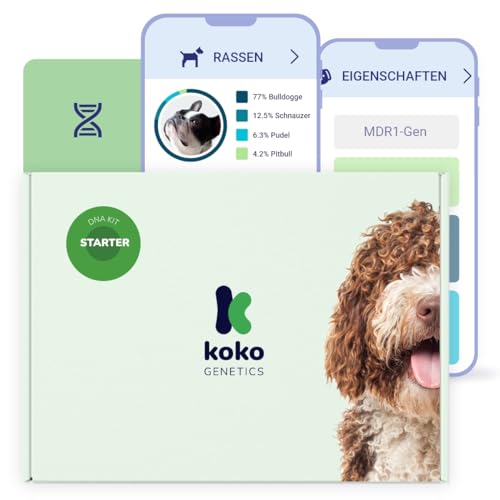 Koko Genetics - DNA-Test für Hunde Starter (Rassen und Eigenschaften) - Upgrades kostenlos von Koko Genetics