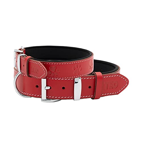 Teo Premium Pet Supplies Hundehalsband aus Leder, verstellbar, langlebig, Haustierhalsbänder für Hunde mit atmungsaktivem, robustem, rostfreiem Hundezubehör, Metallschnalle, Rot (XS+) von Teo Premium Pet Supplies